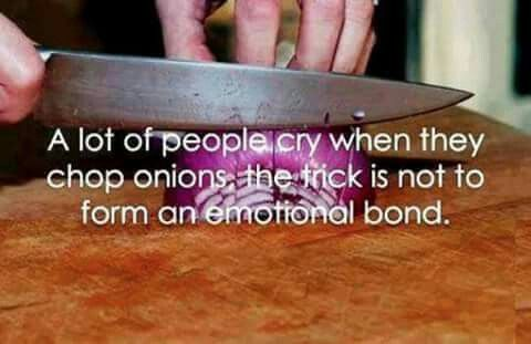 Funny-image-about-chopping-onions-and-forming-an-emotional-bond